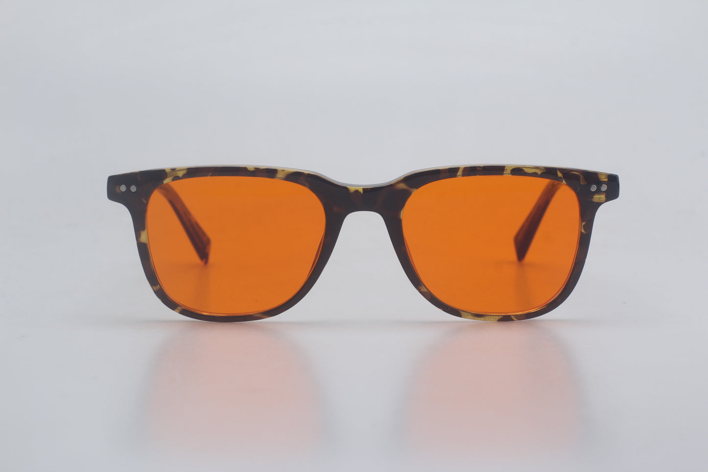 Amsterdam Tortoiseshell