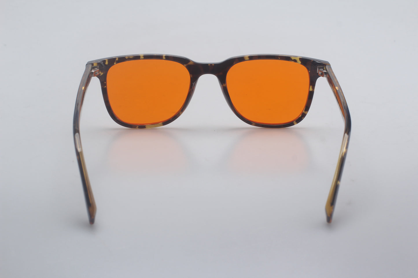 Amsterdam Tortoiseshell